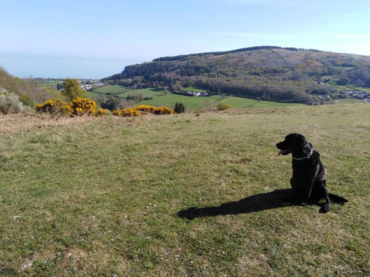 Conwy Pen Cefn Farm Holiday Абергеле Экстерьер фото